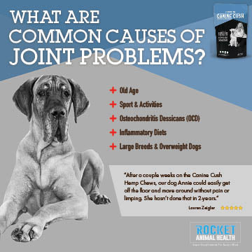 Canine Cush Hip & Joint Chews